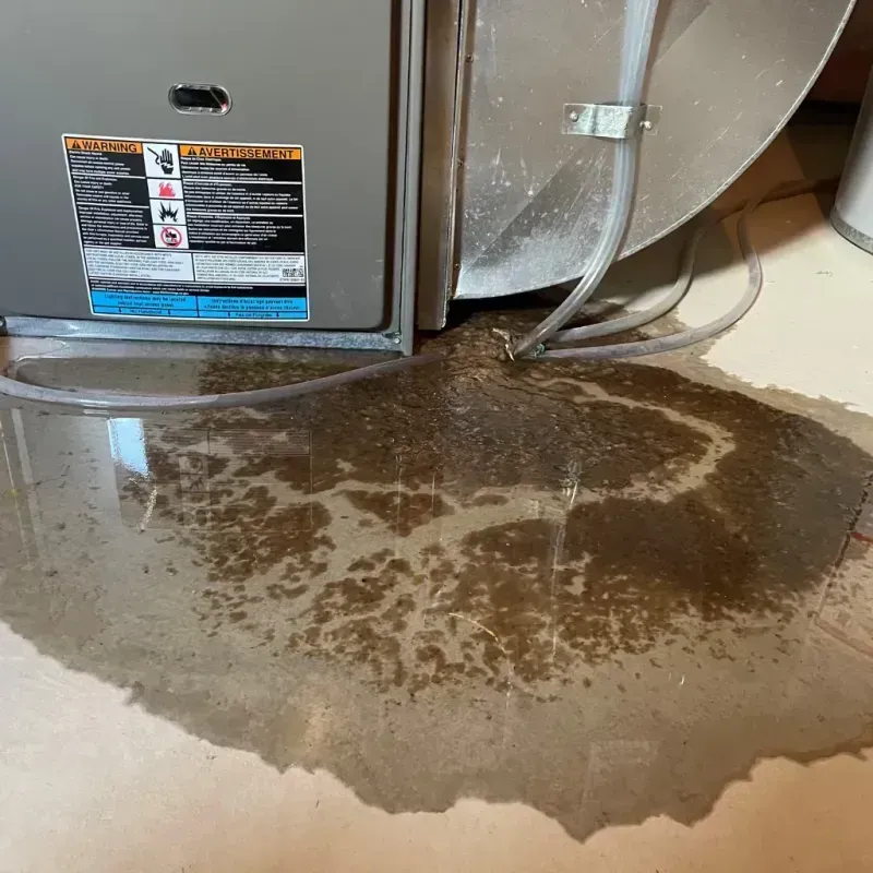 Appliance Leak Cleanup in Detroit-Shoreway, OH